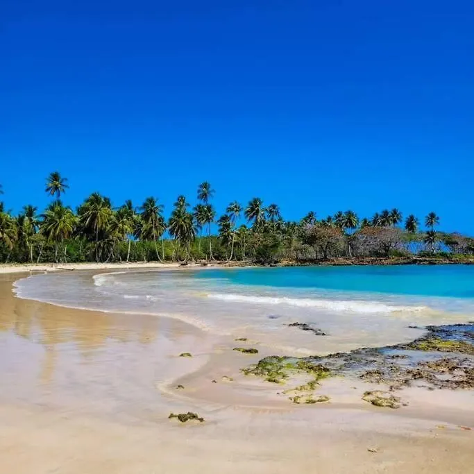 Apartment Apto Close To More Than 19 Tourist Attractions La Entrada